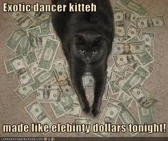 cat money